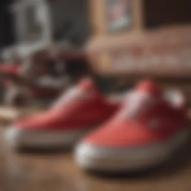 A close-up of the design elements of red Vans footwear