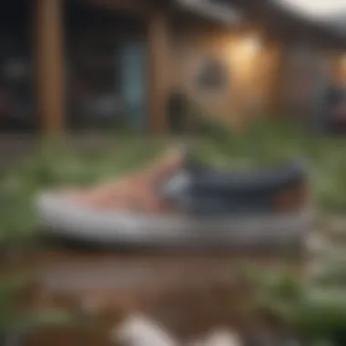Sustainable Choices in Vans Slip-Ons Eco-friendly Vans slip-on options highlighting sustainability.