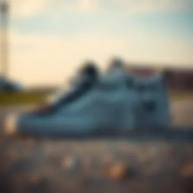 Comparison chart of Vans Walker shoes with leading skate brands