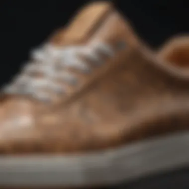 Close-up of the Louis Vuitton skate shoe showcasing intricate design details