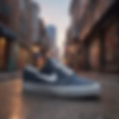 Nike Steve Janoski displayed against a cultural backdrop