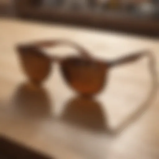 Stylish Ray-Ban Erika sunglasses in brown resting on a wooden table