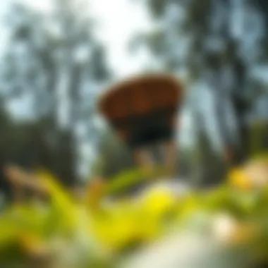 Exploring Drop-Through Design Dynamic drop-through longboard design showcasing low center of gravity