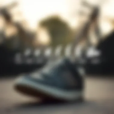 A historical timeline graphic illustrating the evolution of the Busenitz sneaker.