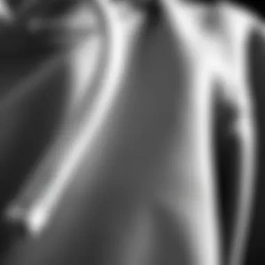 Close-up of Champion hoodie fabric and stitching