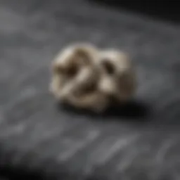 A close-up of the Bones shirt fabric showcasing its texture and quality.