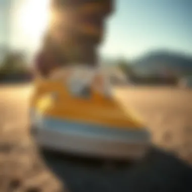 Close-up of Vans Sunlight Shoes highlighting design and materials