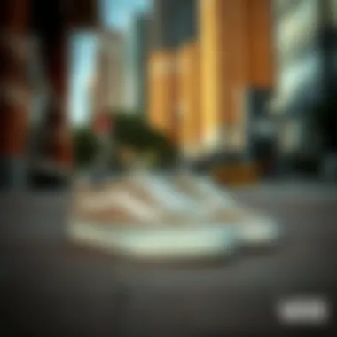 Vans Sunlight Shoes displayed in an urban skateboarding environment