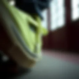 Velcro Old Skool sneaker showcasing its unique design