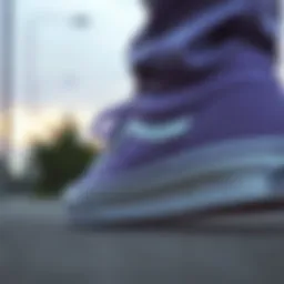 Stylish Lilac Vans Old Skool sneakers showcased from the side