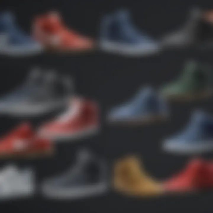 Comprehensive infographic comparing Nike SB shoes and their features