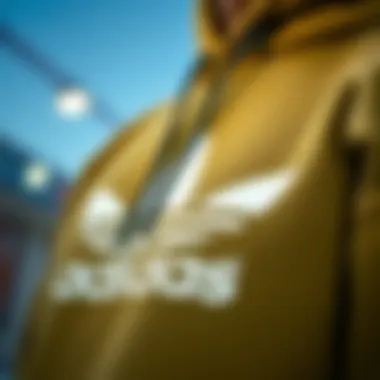 Close-up of the design details on the olive green Adidas hoodie