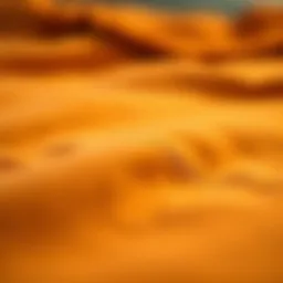 A close-up of the fabric texture showcasing the quality of Russell Athletics crewneck.