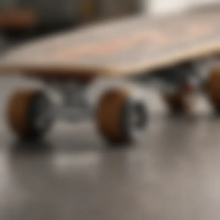 Close-up of a high-quality skateboard deck