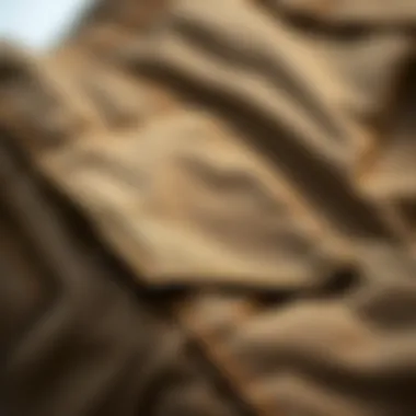 Close-up of Tripp Cargo Pants Fabric Texture Close-up of fabric texture of Tripp cargo pants