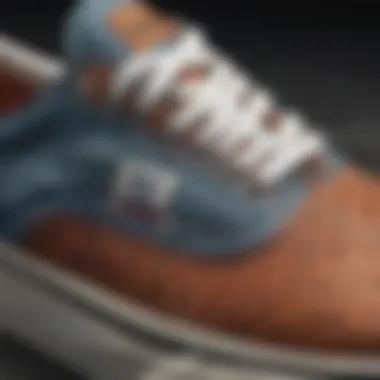 Close-up of Vans Authentic sneaker detailing with texture focus