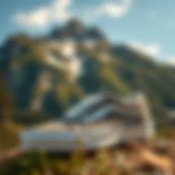 Stylish Vans hiking footwear against a scenic mountain backdrop