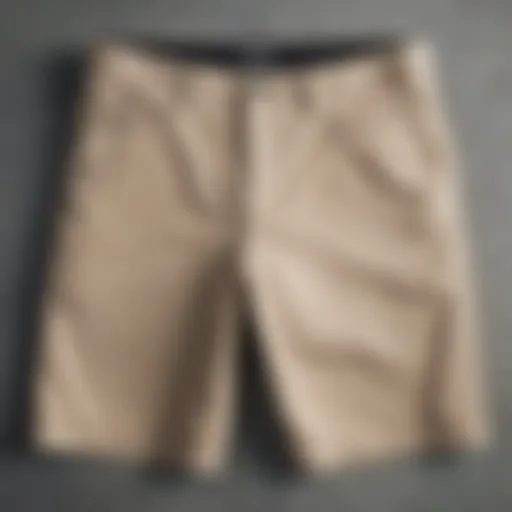 Volcom Frickin Modern Straight Shorts in natural light showcasing fabric texture